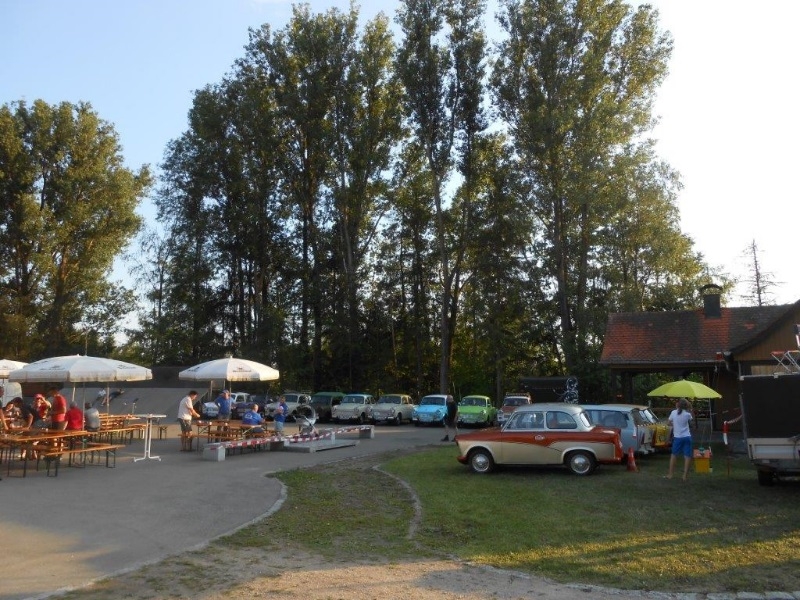 Schierling (10).jpg